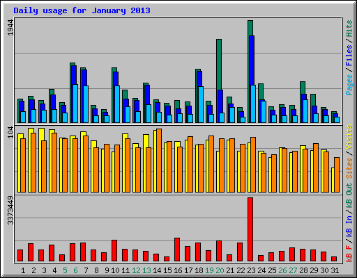 Daily usage for January 2013