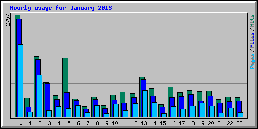 Hourly usage for January 2013